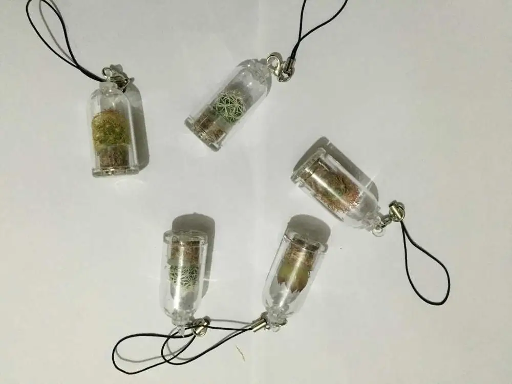 
UCHOME Yiwu factory mini plant PET TREE Wholesaler for Key Chains 