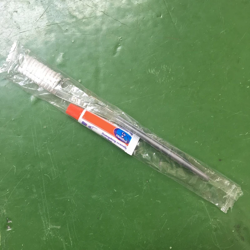 disposable travel toothbrush with toothpaste inside