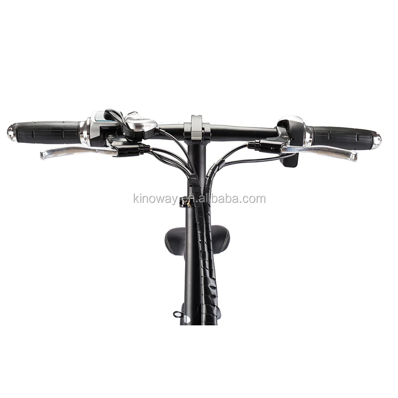 20inch Aluminum alloy frame folding electric bicycle 36V 250W electric foldable bike