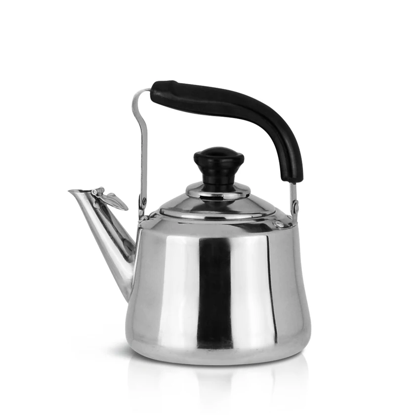 best stainless steel kettle