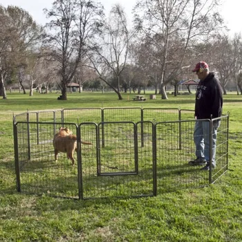 large dog pen outdoor
