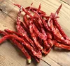 Dry red chilli/pepper export processing