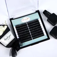 

Factory private label 17mm 2d cc curl 0.03 volume eyelash extension