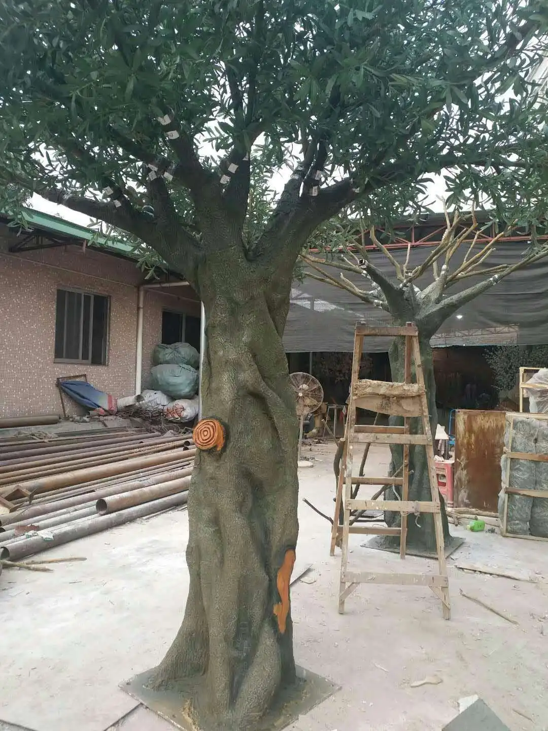 305130116597309168.jpg