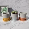 wholesale Gold silver copper painting cylinder concrete planters succulent pot