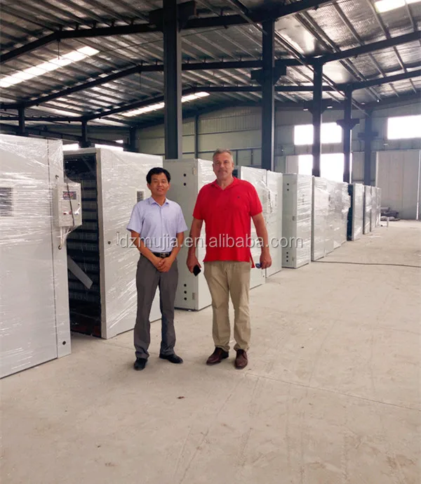
Dezhou Mujia 300 egg incubator automatic chicken incubator for sale 