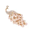 Wholesale Fashion Jewelry Korean Spider Web Brooch, Vintage Alloy Pearl Peacock Feather Brooch