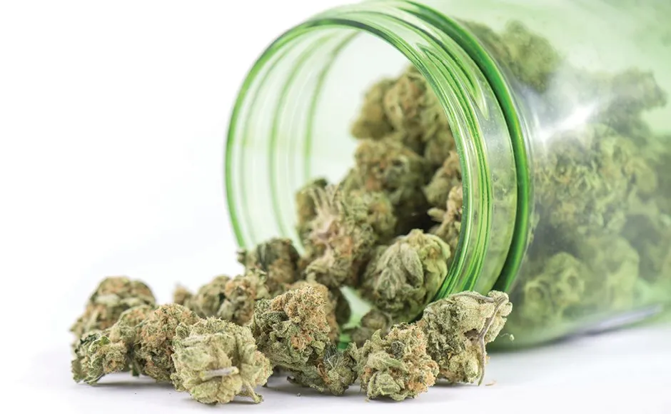 cheap price hemp seed dehydrator machine hot selling hemp flower