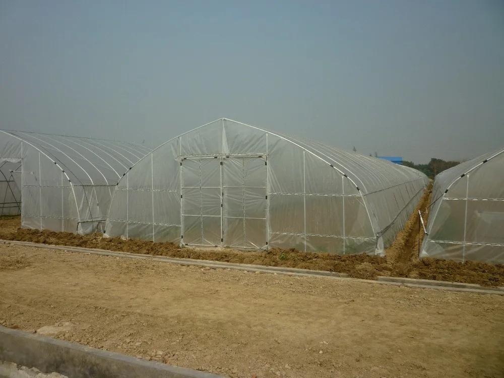 Fiberglass Chicken Shed Polytunnel Chicken Reinforced Plastic