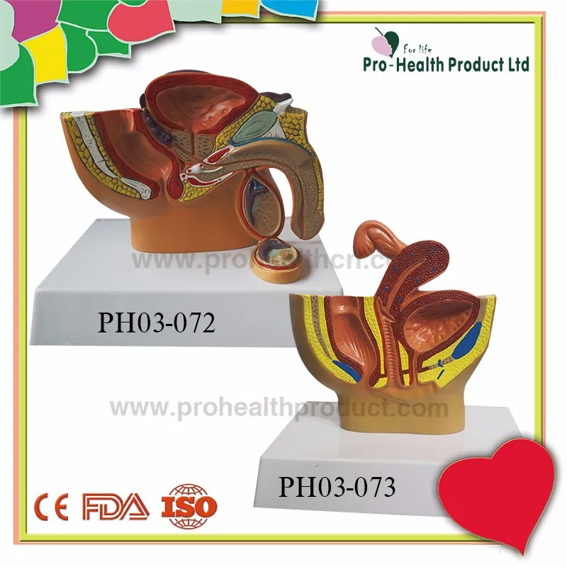 800x800logoPH03-072+PH03-073.jpg