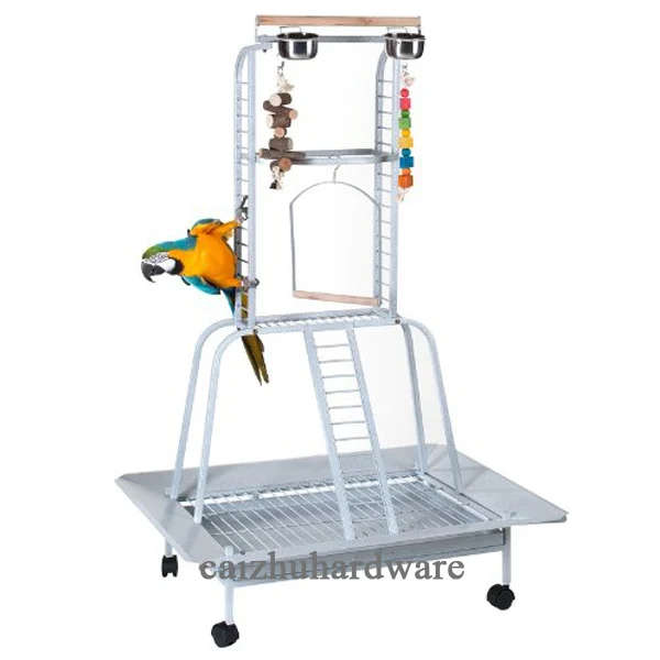 parrot stand