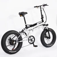 

2020 newest china 20 inch fat tire 48V e bike folding electric bike bicycle
