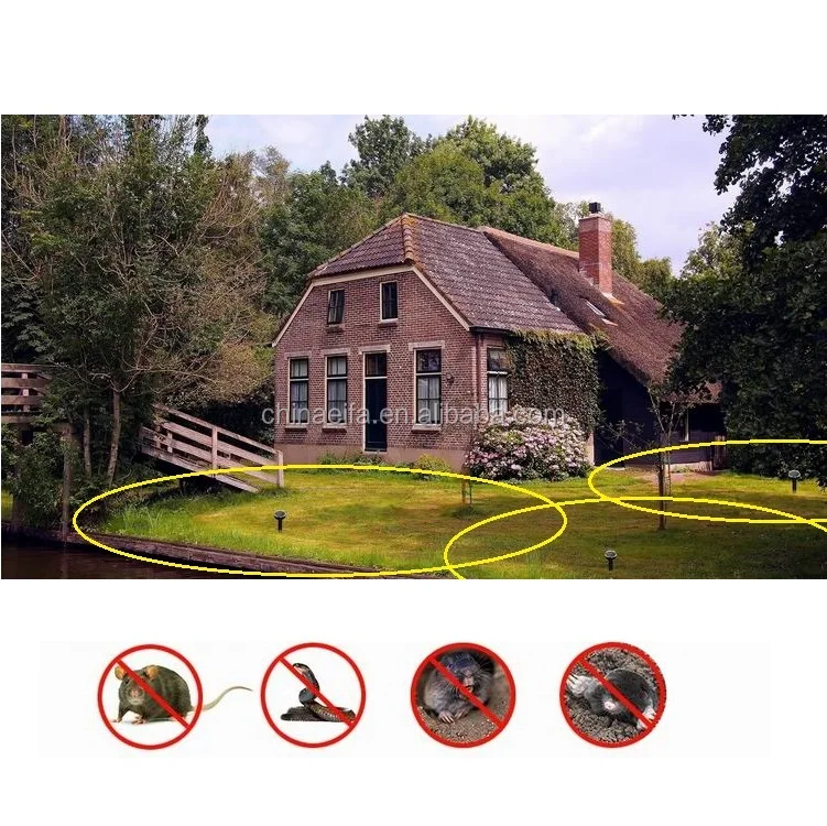 500101814 B3 750 G.jpg