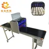 High Speed six printing heads egg printer/eggs inkjet printing machine