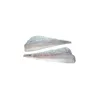 frozen saithe /pacific cod fillet