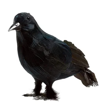 Made By Counterpoint Magazine Burung Gagak Hitam Png