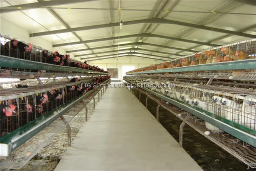 full auyomatic system egg layer poultry house design for chicken farm philippines