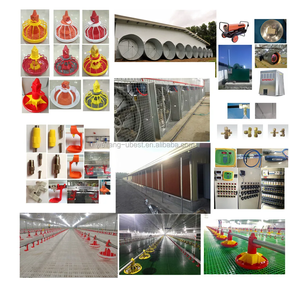 poultry farm equipment 
