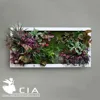 /product-detail/lving-artificial-plants-arrangement-artificial-succulent-plants-wall-art-for-wall-decor-60245833936.html