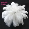 free shipping 50 pcs /bag wedding decorations feathers 45-50 CM/18-20 inch white ostrich feather ostrich