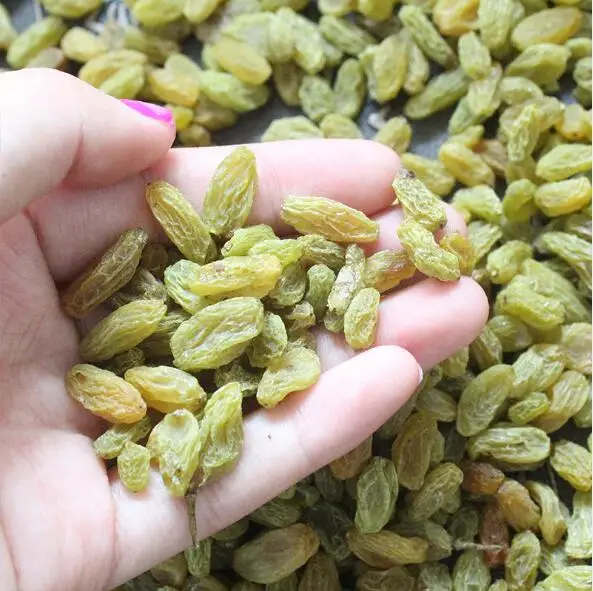 
china xinjiang green sultanas seedless raisins 