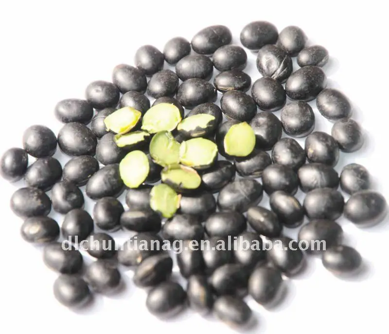 Organic Black Soybeans With Green Kernel Buy Chinese Black Beans,Soybeans,Soybean Green Kernel