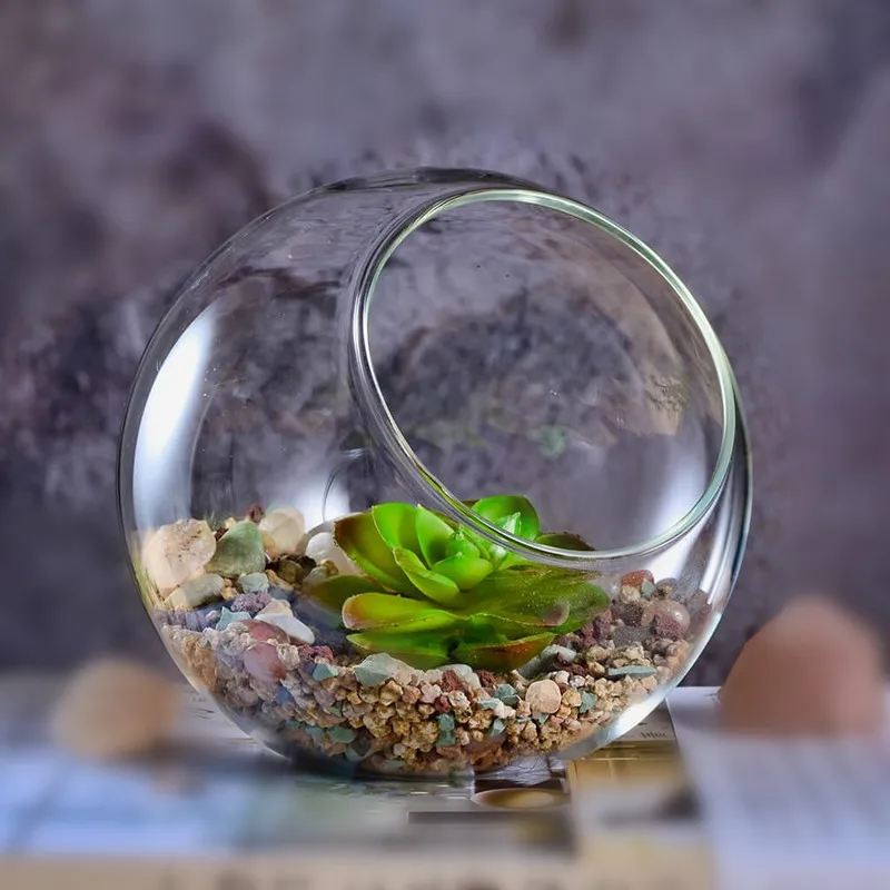 

Slant cut glass terrariums bowl glass geometric terrarium glass vase 13*12cm, Transparent