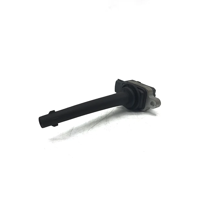 Ignition Coil 22448 ED800