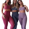 Women's Plain High Waist Moisture Wicking Sports Workout Yoga Running Dance Seamless Set Wholesale