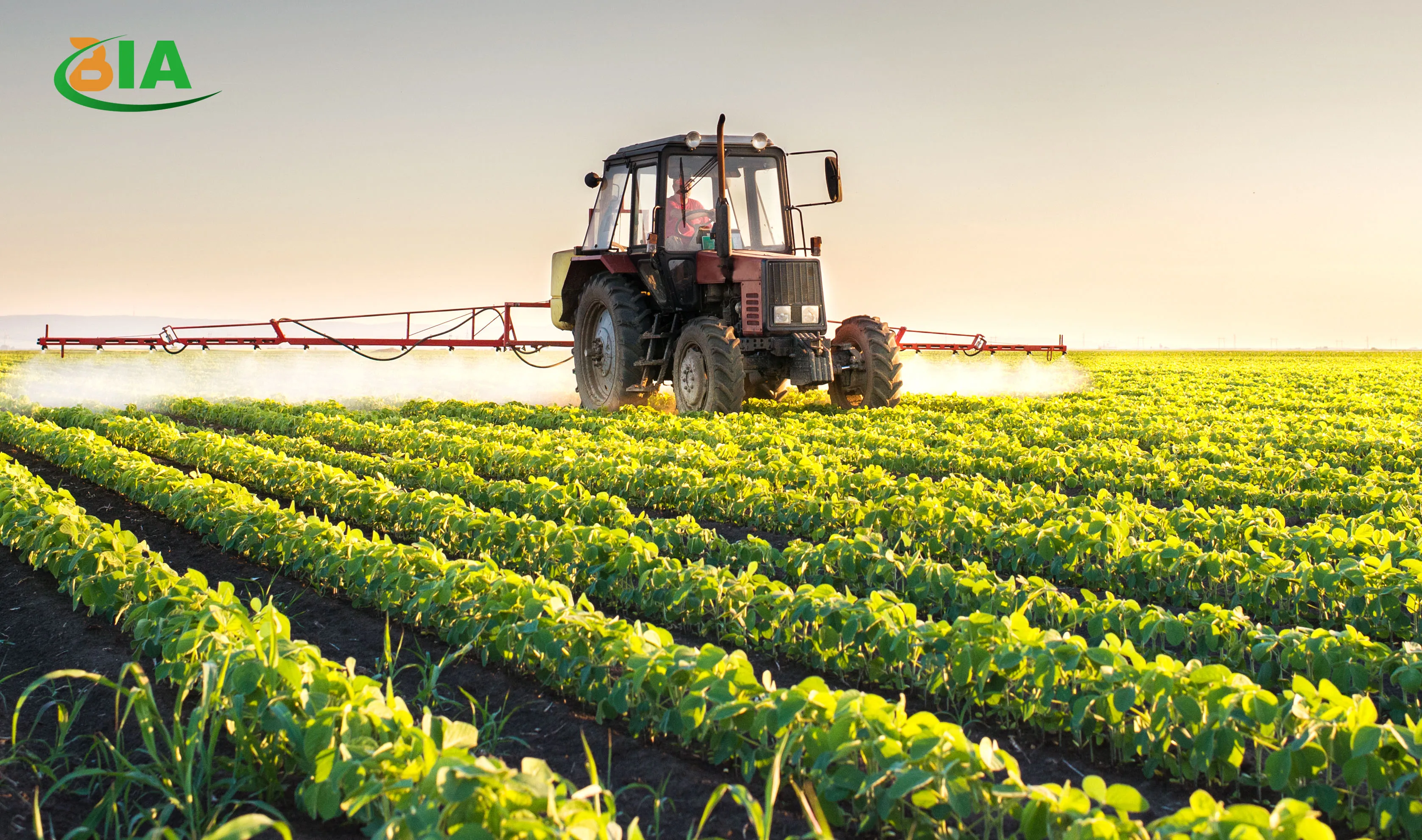 Продвижение сельского хозяйства. Плантации сои Monsanto в Румынии. Растениеводство. Сельское хозяйство. Сельхоз хозяйство.