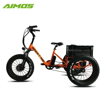 3 wheel ebikes