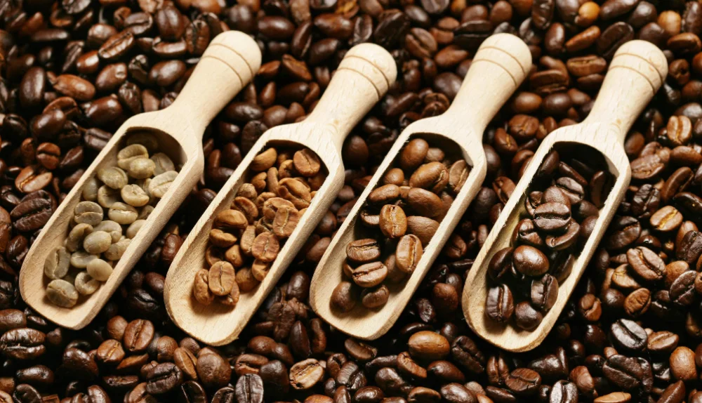 factory supply best blue mountain flavored roasted coffee beans