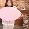 Kawaii pig stuffed down cotton plush memory pillow outdoor anime cushion sofa