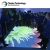 Interactive floor projection includes digital projector, mini pc and interactive floor software