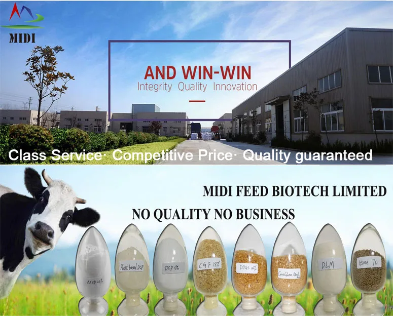 MIDI feed Service.jpg