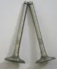 car parts factory for TS190,TS230 Engine Valve
