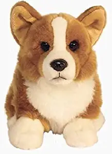 corgi stuff to buy