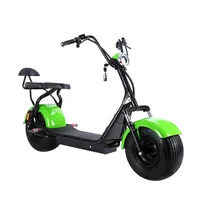 

2000W Cheap Two Wheel Aluminum Foldable Self Balance Electric Scooter Citycoco