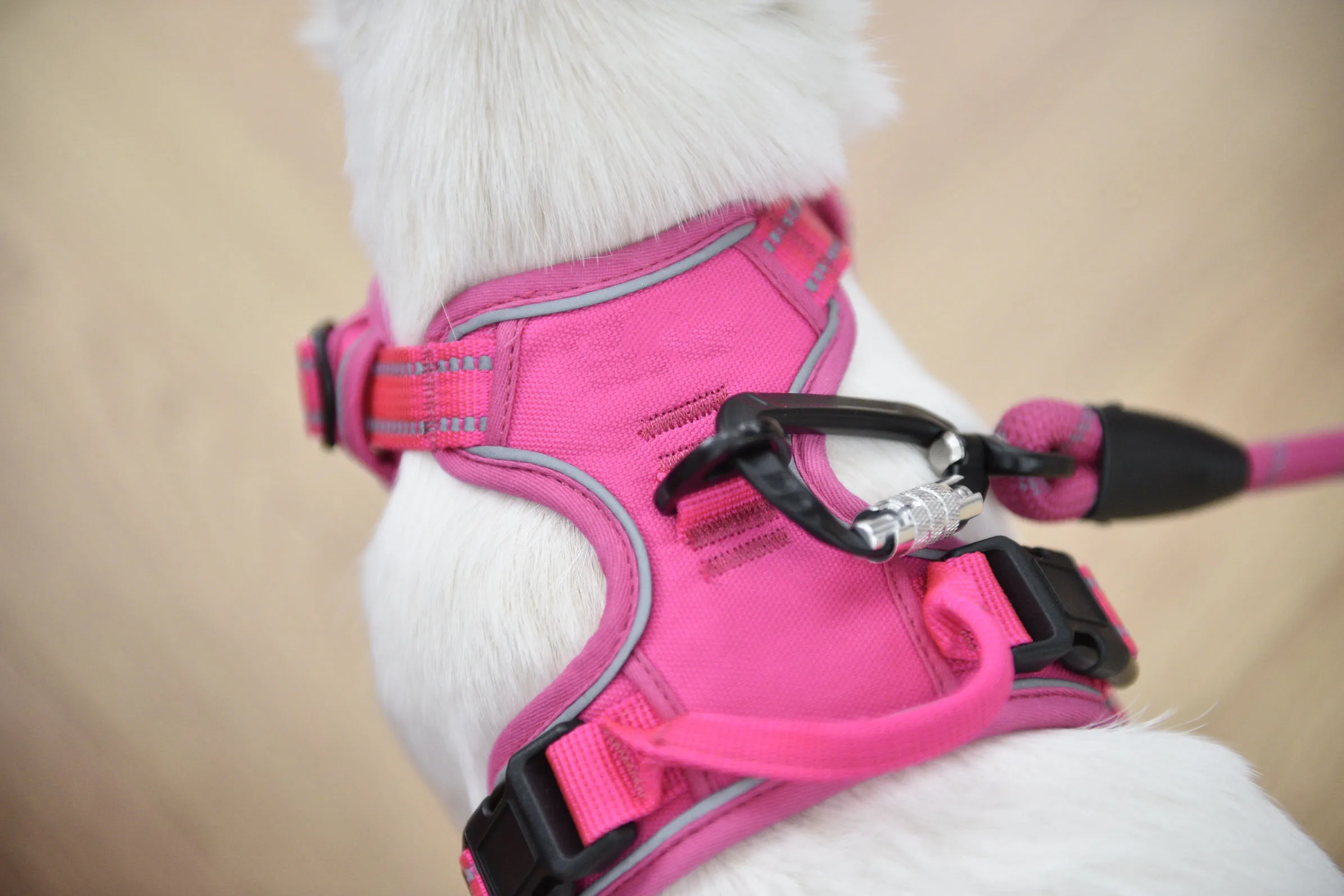 Navy Blue Mountain Climbing Rope Carabiner Leash 6 Feet Buy Navy Blue