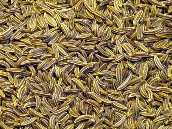 cumin seeds europe quality
