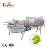 commercial vegetable washing machine for processing line
