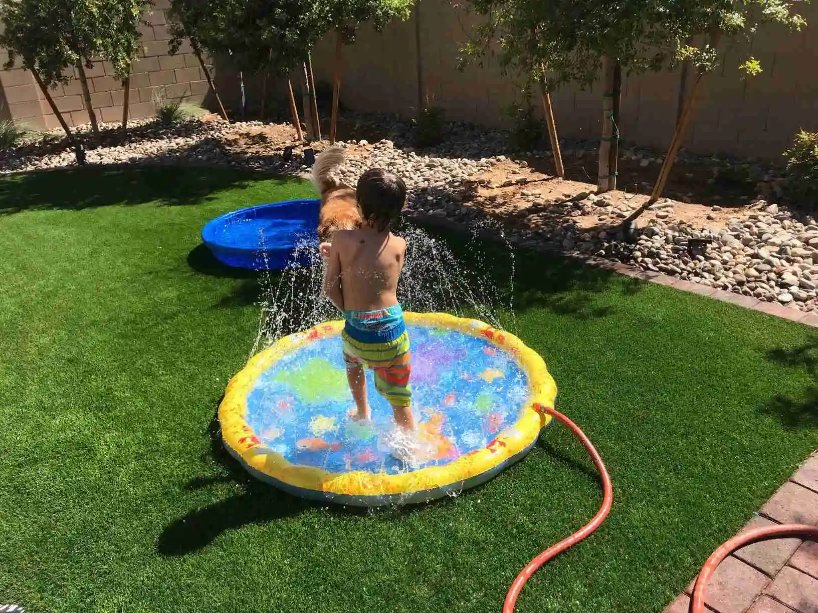 sprinkler mat for toddlers