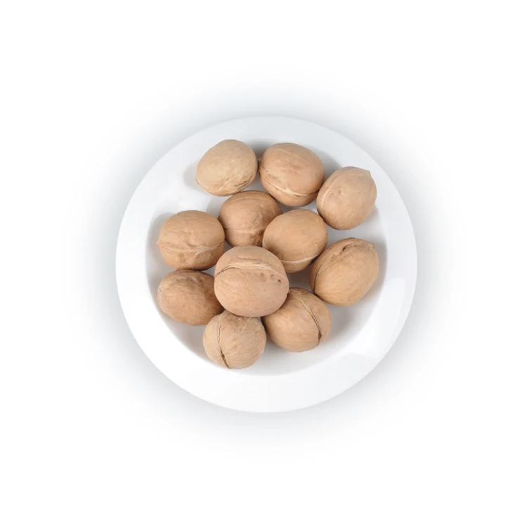 
Xinjiang walnut wholesale chinese walnut 