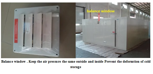 product-CBFI Fish Processing Cold Storage Room For Shrimp Chicken cold chamber-CBFI-img-4