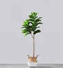 plastic material small artificial bonsai fiddle tree with fiberglass trunk