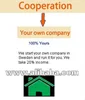 Start your own company IN Sweden