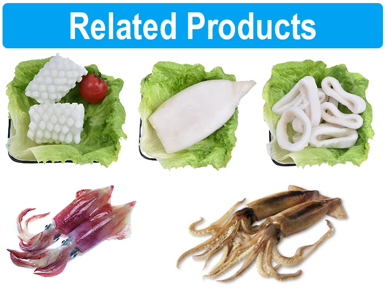 200 to 300g illex argentinua frozen squid price wholesale
