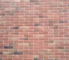 Building material art deco clay wall bricks with different types