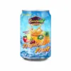 OEM Private Label Tropical Mix Fruit Juice Brands Drink