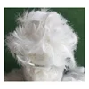 white duck 80% feather 20% down filling material Down Feathers Wholesale